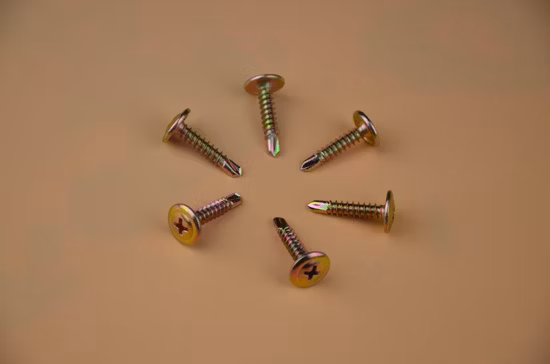 Top Quality Screw/Epoxy Self Drilling Screw/Fastener