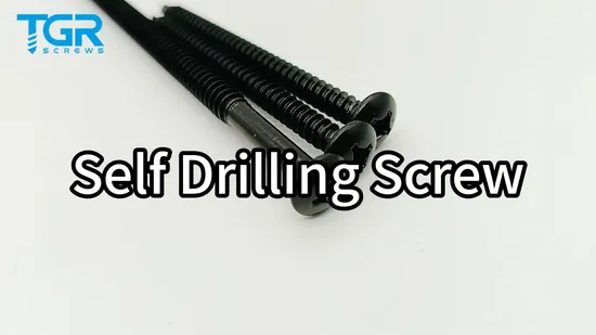 Ruspert Screw /Roofing Screw Heavy Duty Fastener