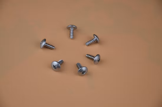 Top Quality Screw/Epoxy Self Drilling Screw/Fastener