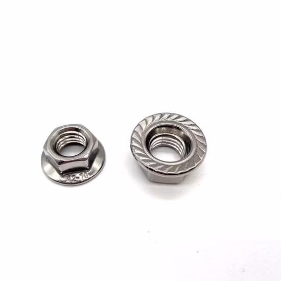 M2 M8 Stainless Steel 304 316 A2-70 Hex Flange Nut Fastener