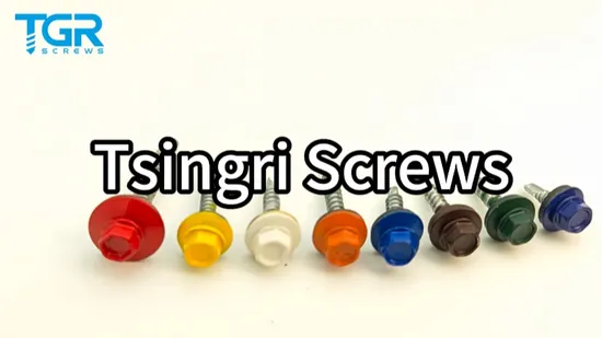 Screw/Self Tapping Screw/Self Drilling Screw/Fastener