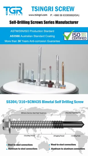 Self Drilling Screw/Screw/Self Tapping Screw/Fastener